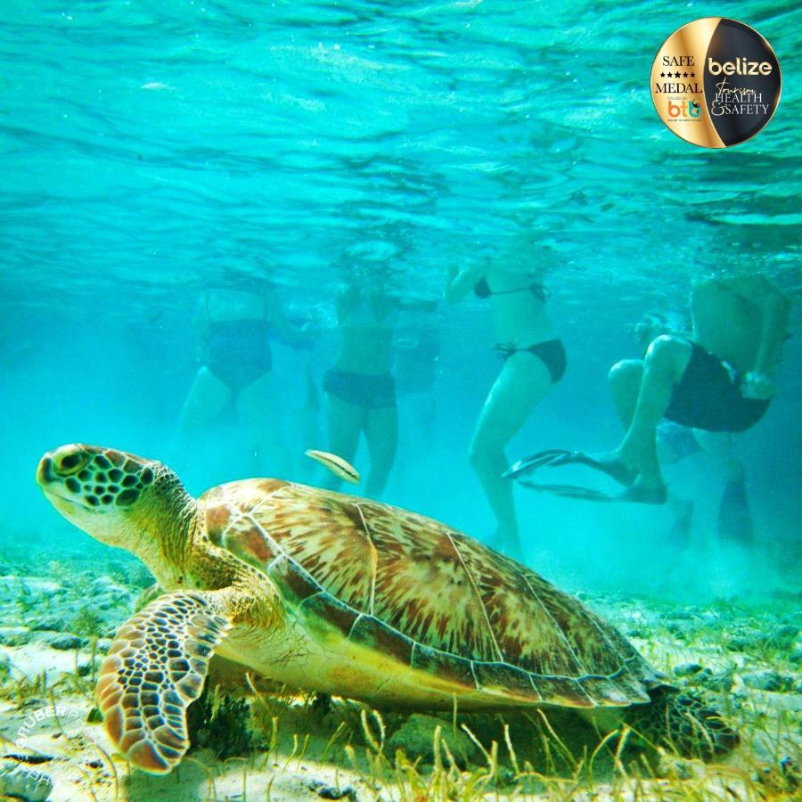 Portofino Beach Resort San Pedro (Ambergris Caye) Exterior foto